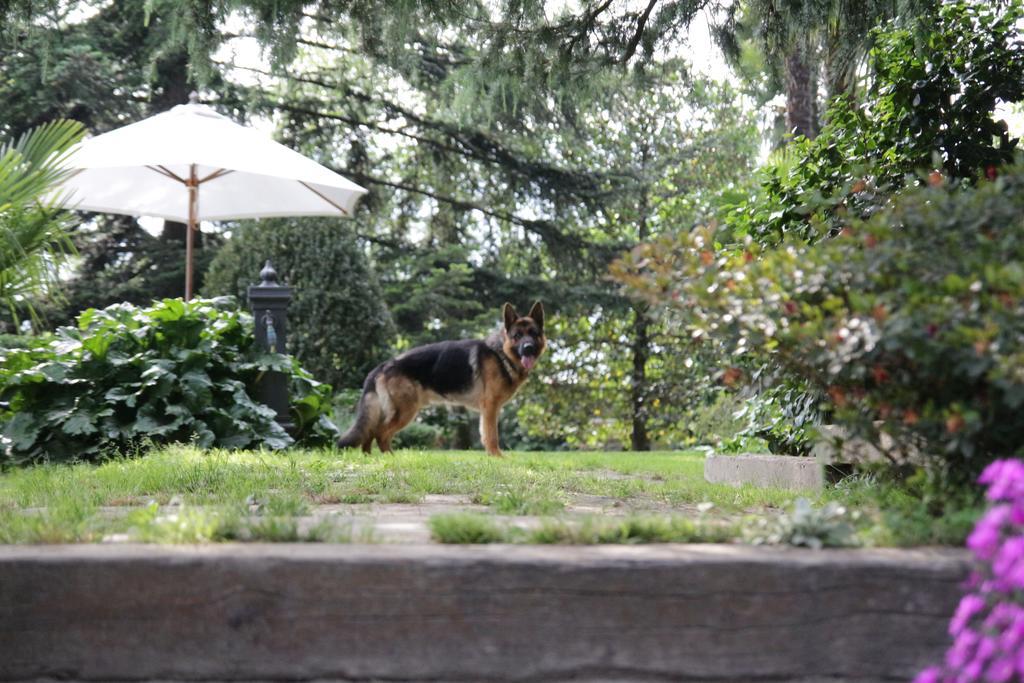 B&B Casa Carla Pinerolo Bagian luar foto